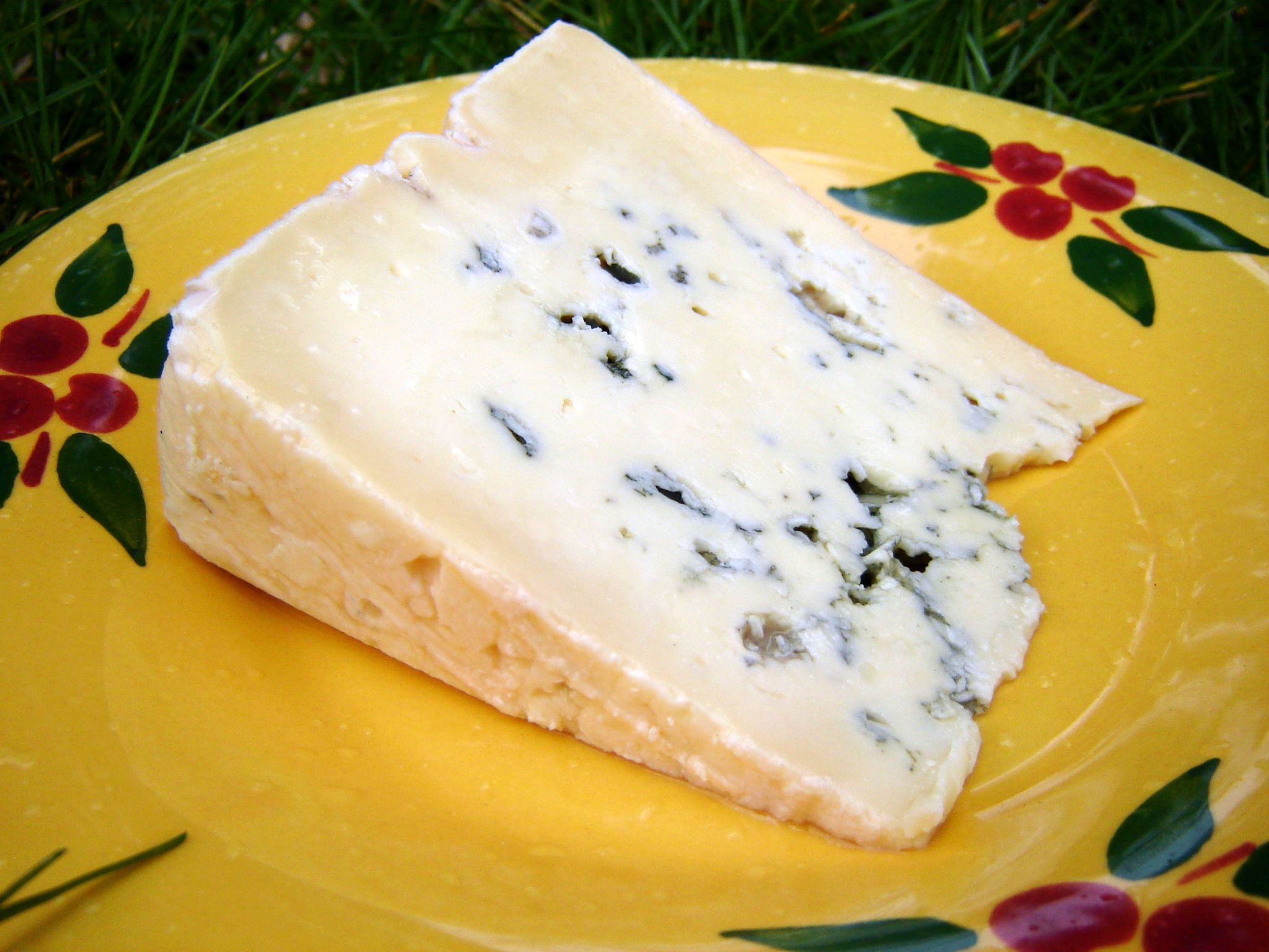Bleu des Causses : Fromage bleu AOP Bleu des Causses, photo fromage du Massif Central